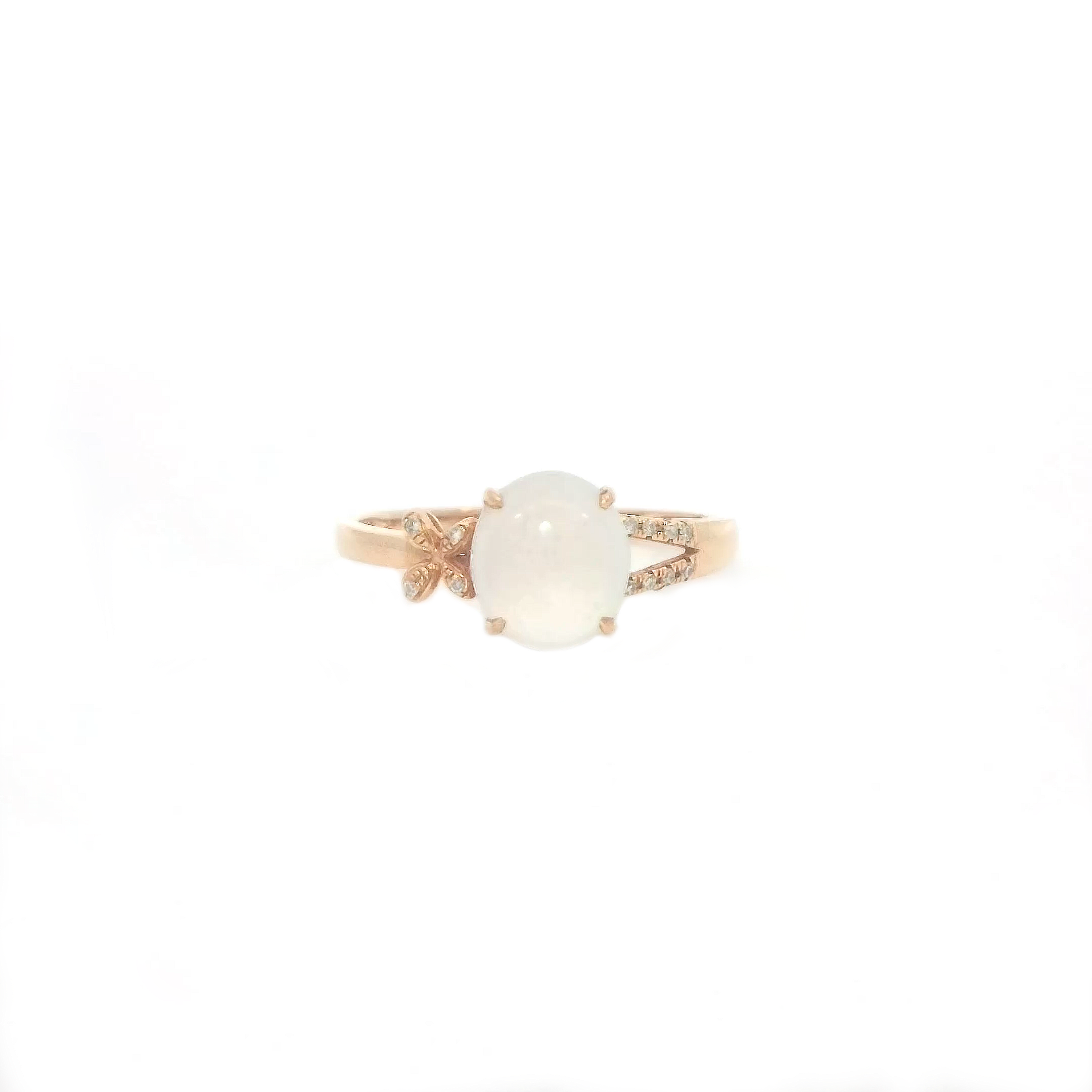 Product gallery 4673