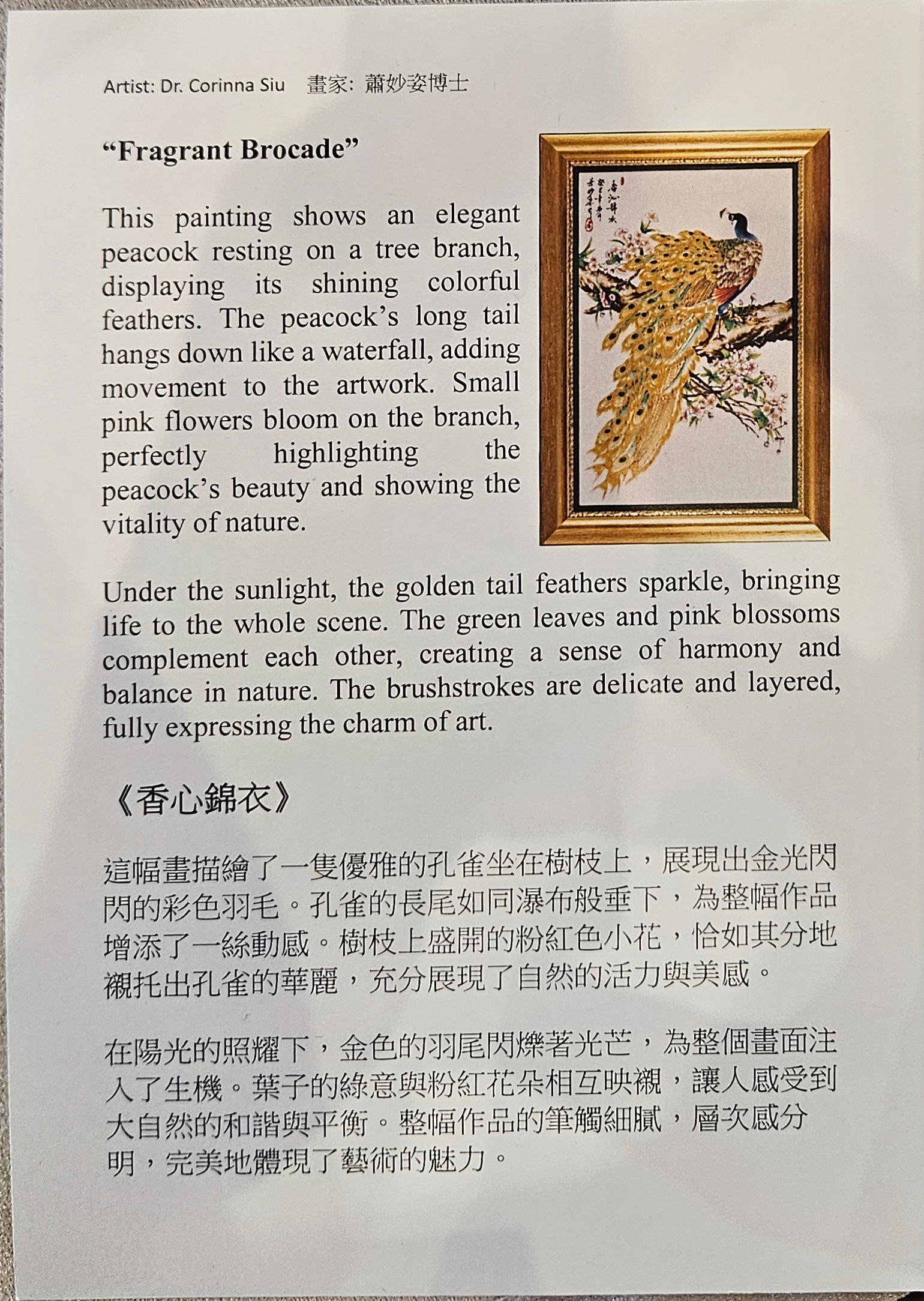 Product gallery 5799