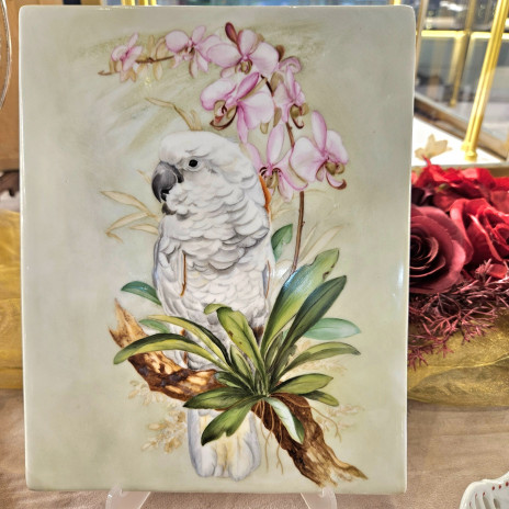 優雅的白鸚鵡 (Elegant White Parrot)