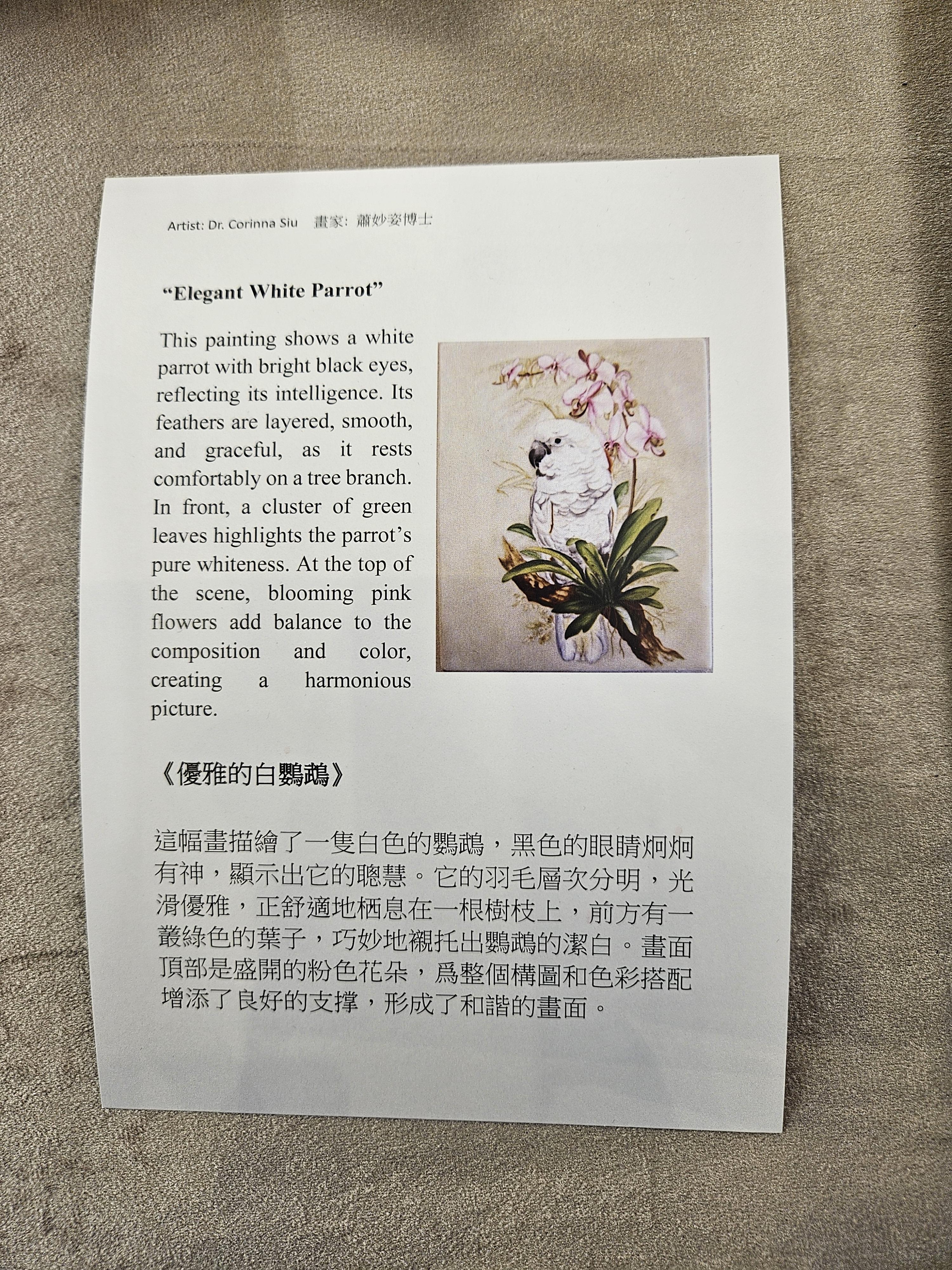 Product gallery 5802