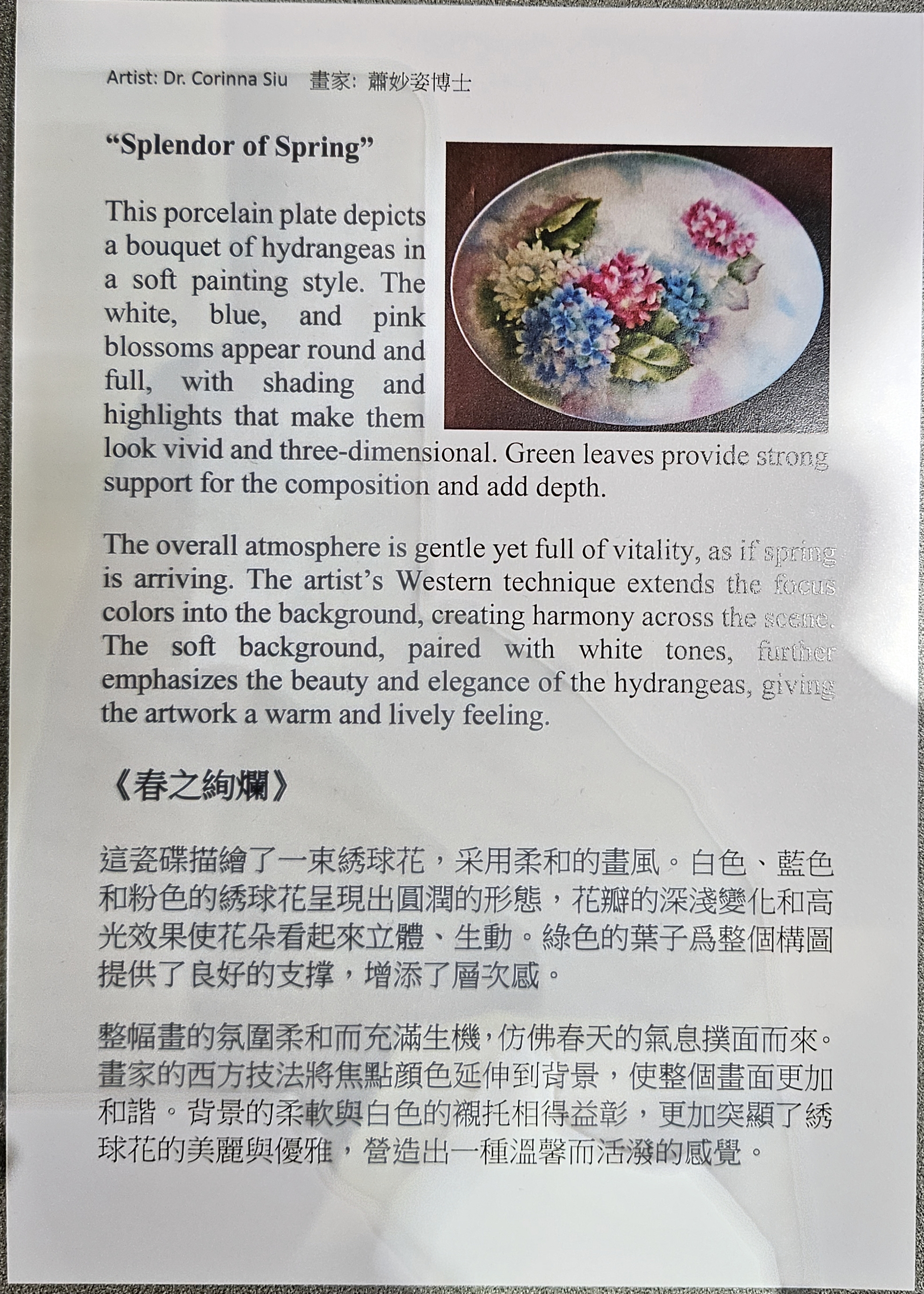 Product gallery 5804