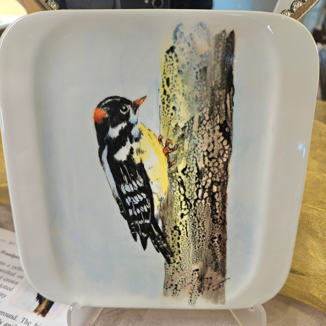 林隅啄木 (Forest Corner Woodpecker)