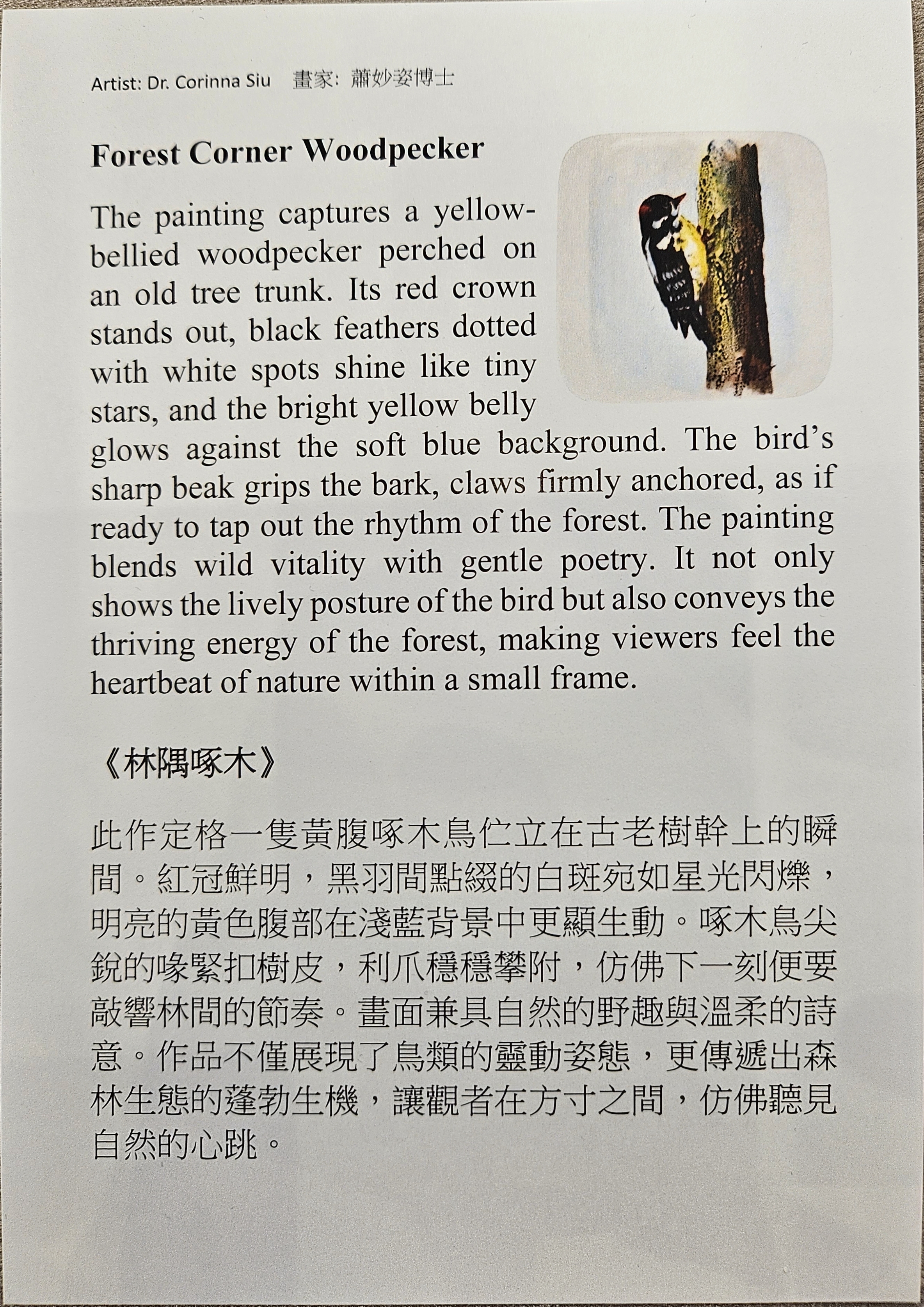 Product gallery 5816