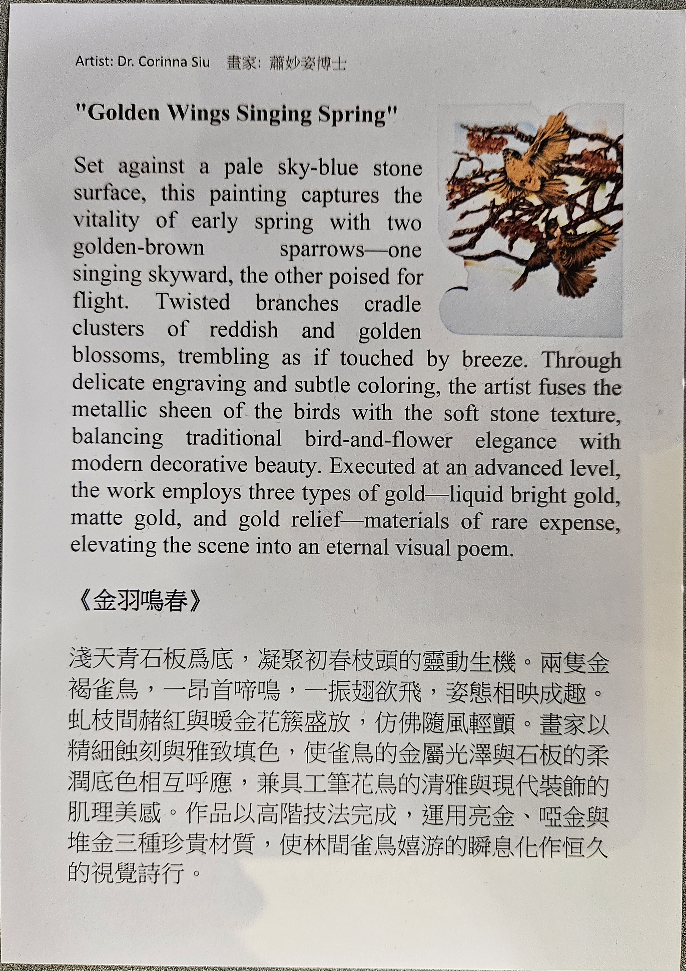 Product gallery 5826