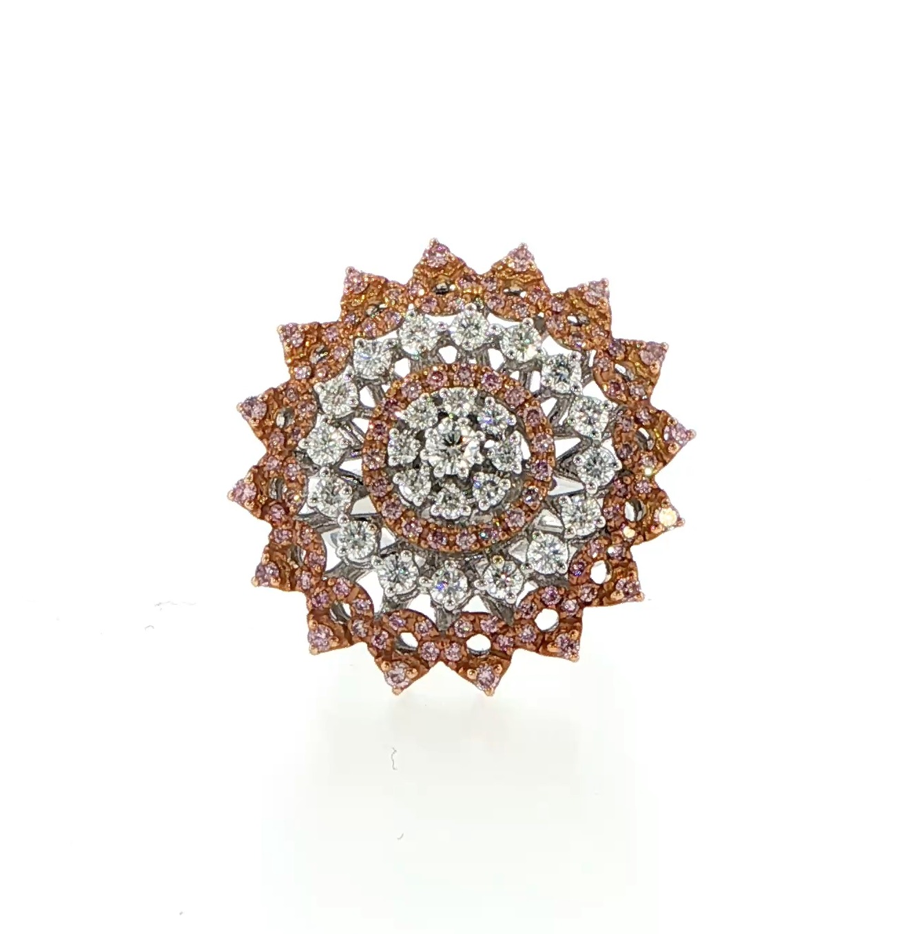 Product gallery 5879