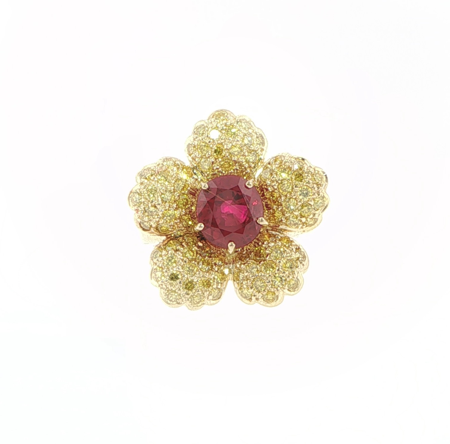 Product gallery 6123